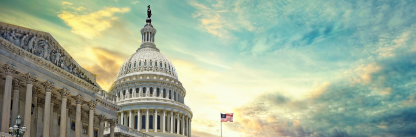 Structured security delivery within regulated and multi agency environments. 