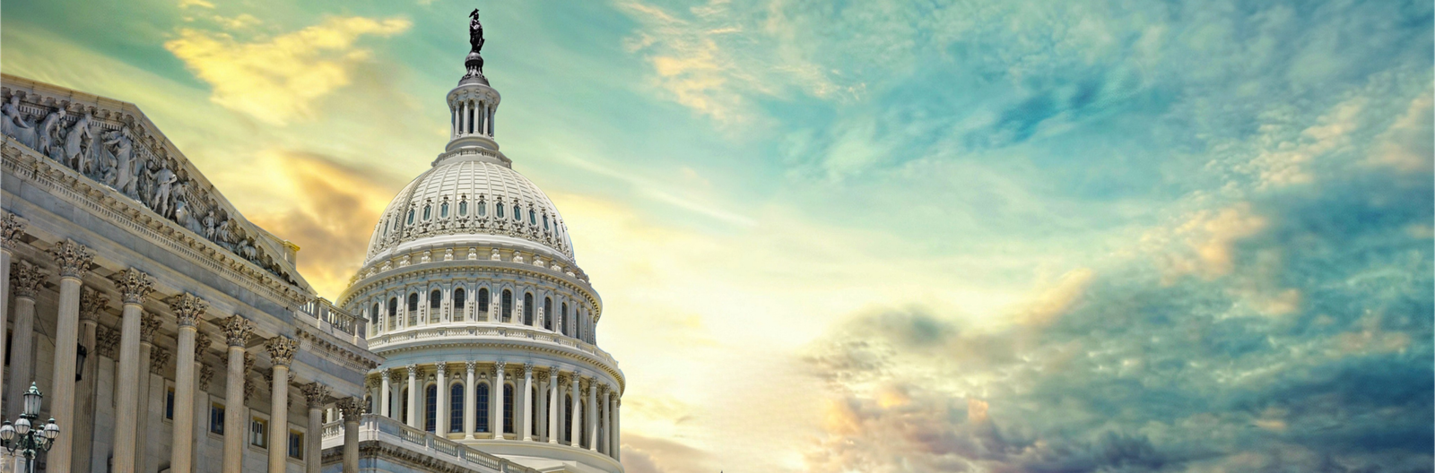 Structured security delivery within regulated and multi-agency environments. 